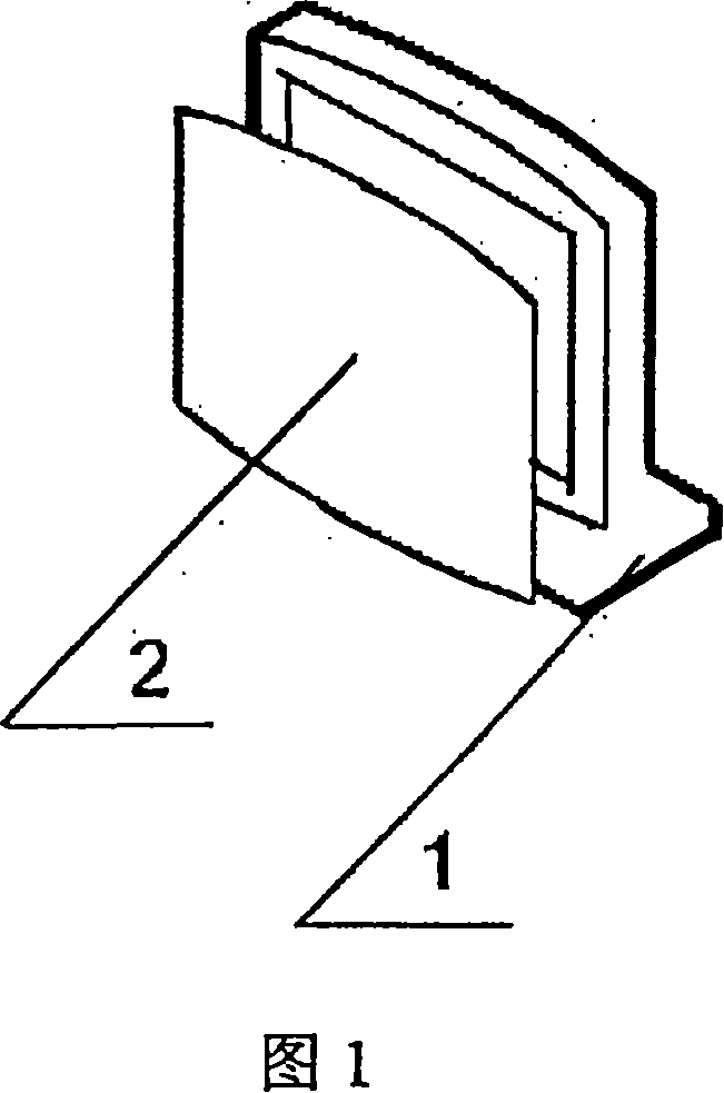 Naked eye visible stereo display system and its implementation method