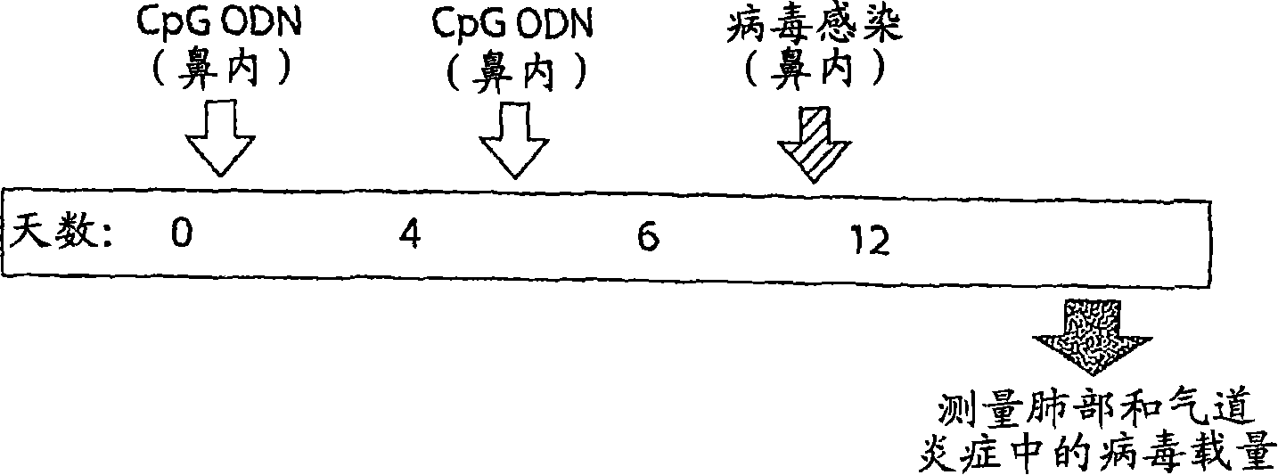 Methods for treating infectious disease exacerbated asthma