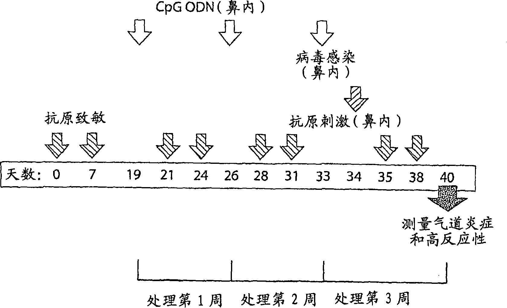 Methods for treating infectious disease exacerbated asthma