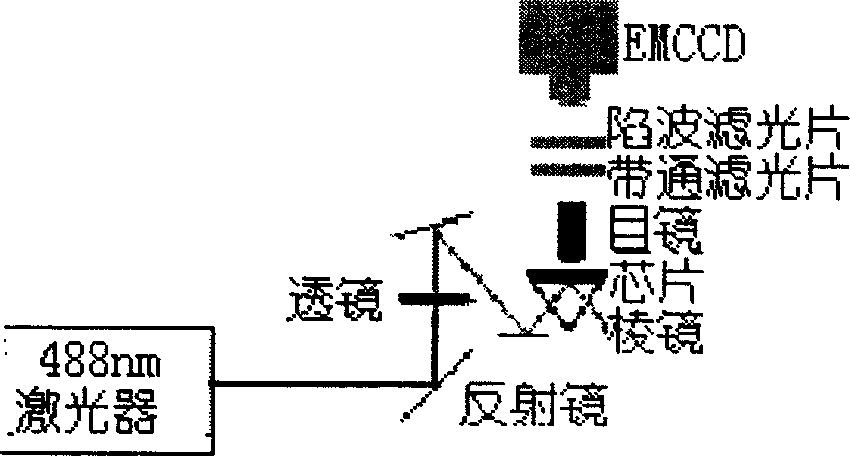 Measuring method for migration rate in unimolecular level