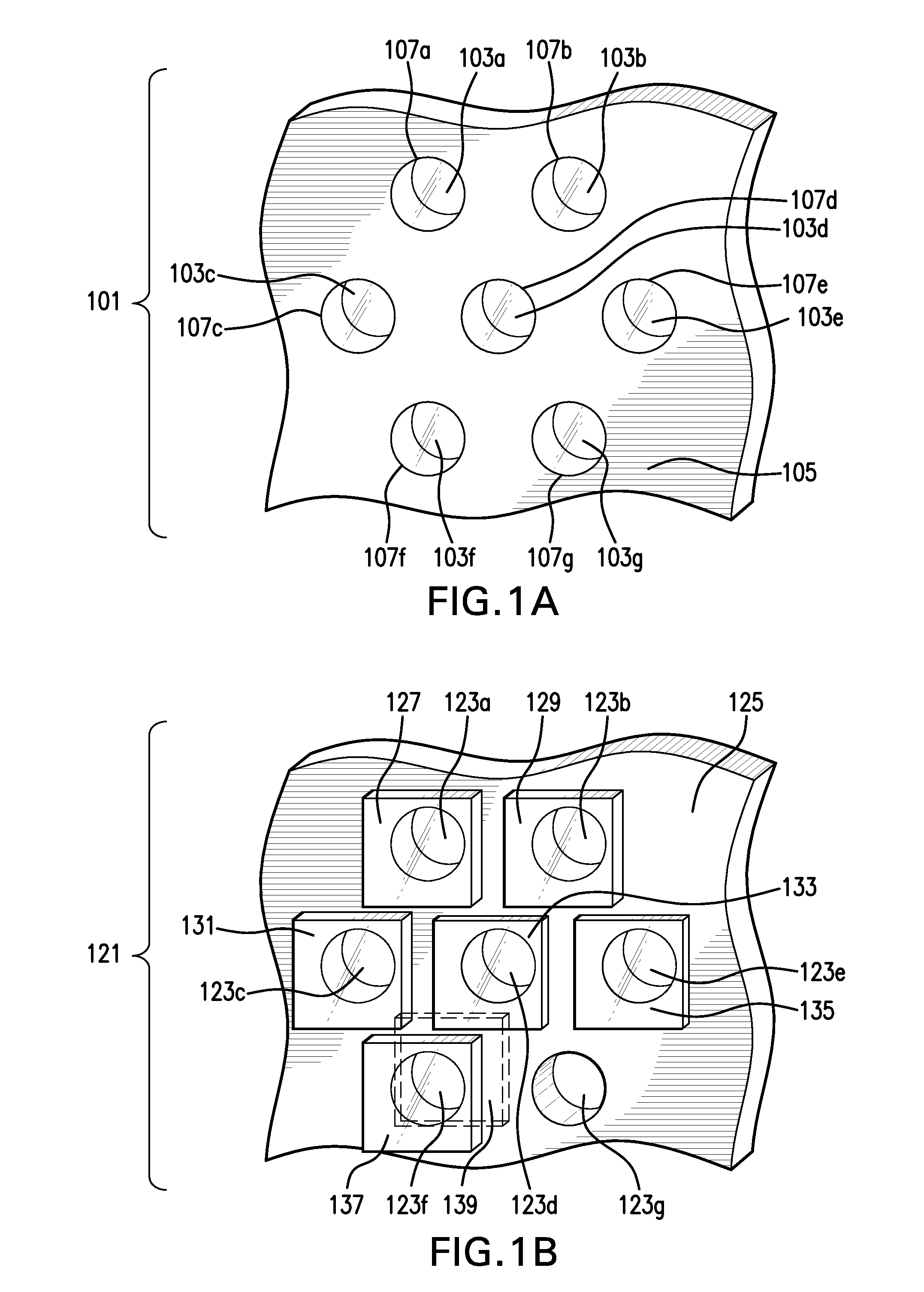 Lenslet array for retinal oximetry