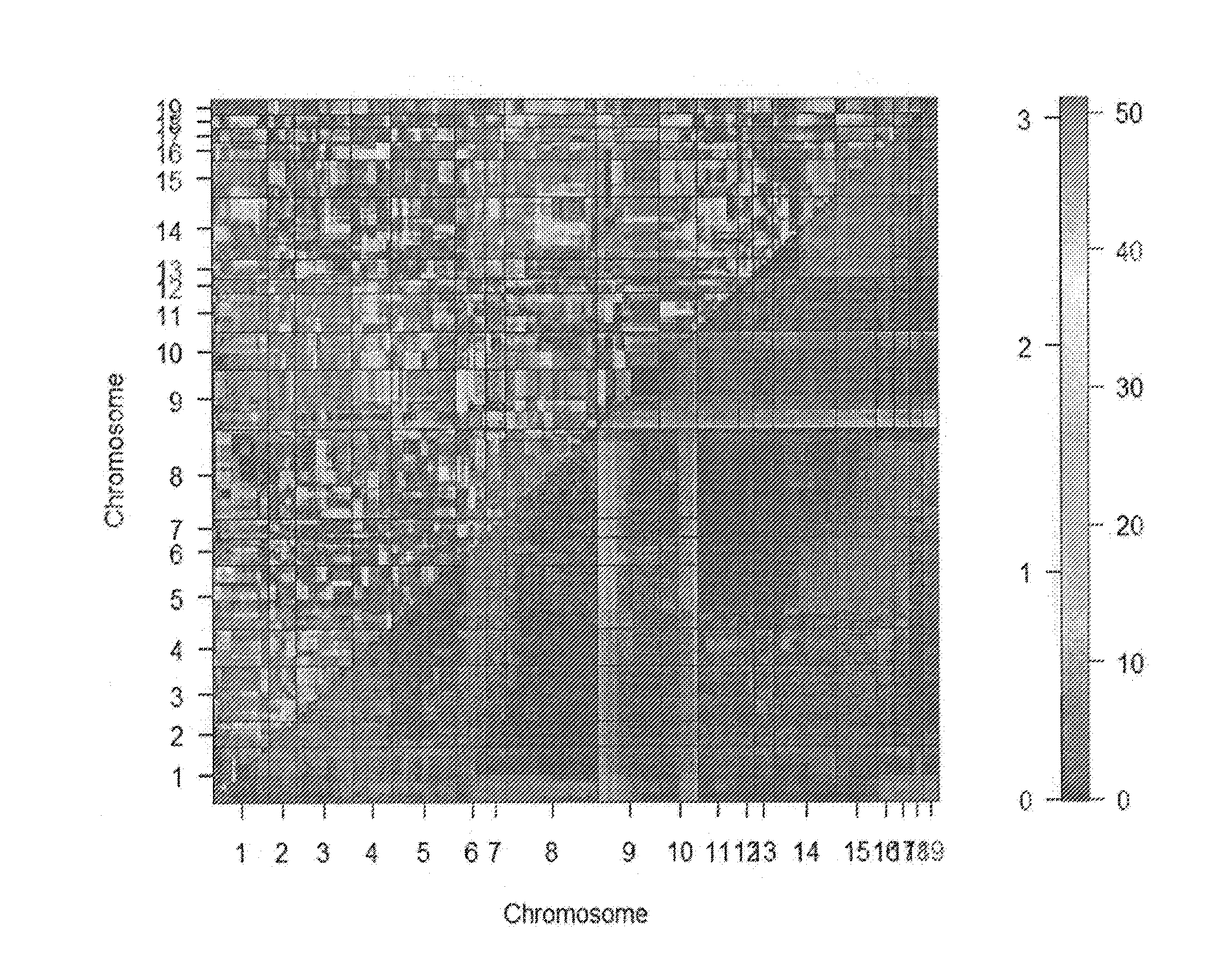 Methods and Compositions for Watermelon Firmness