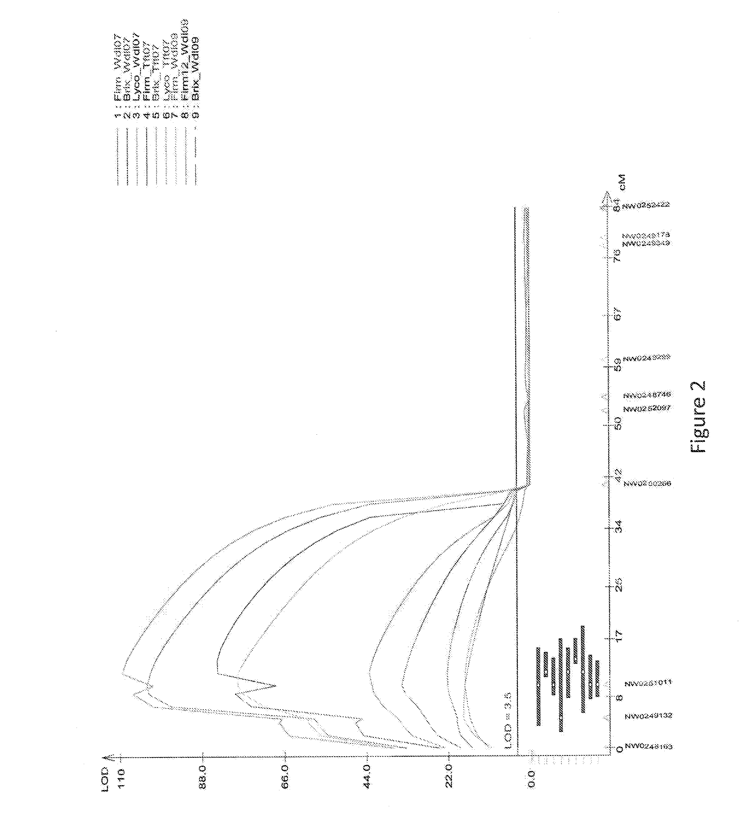 Methods and Compositions for Watermelon Firmness