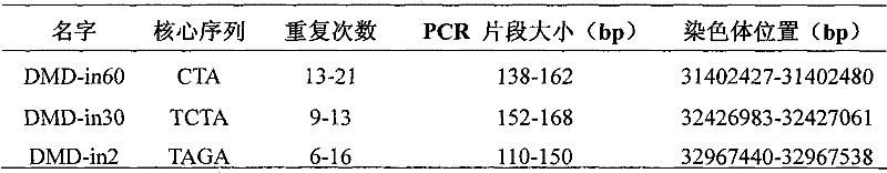 Three novel human dystrophin gene STR loci and typing method thereof