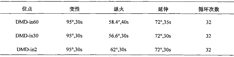 Three novel human dystrophin gene STR loci and typing method thereof