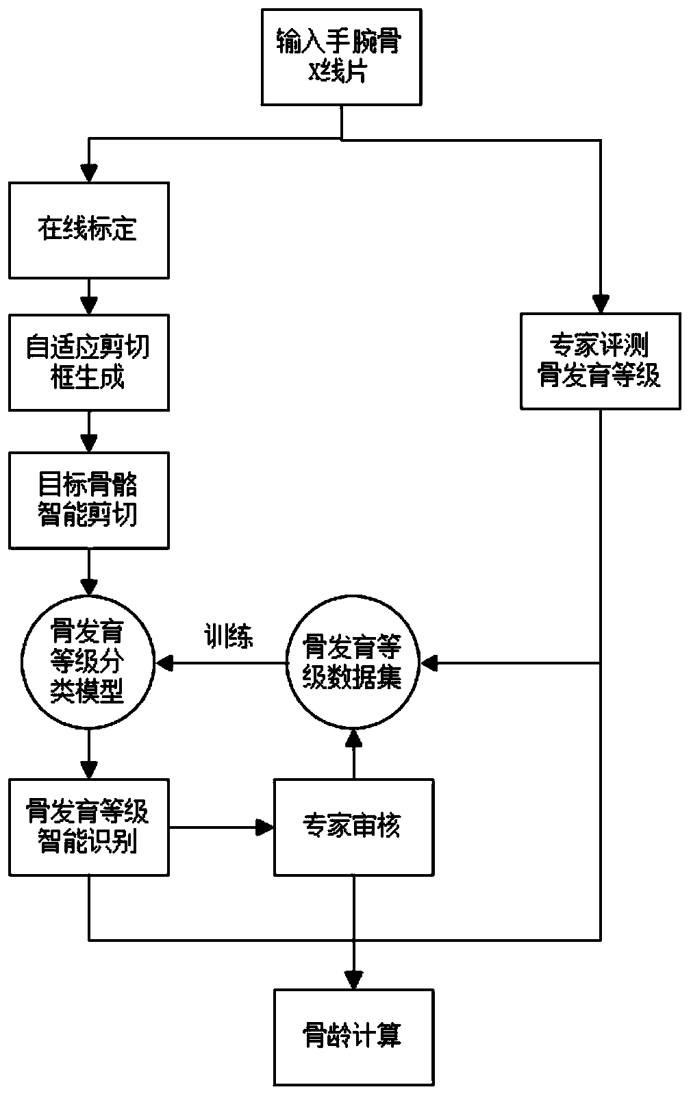 Bone age prediction method and system based on deep learning