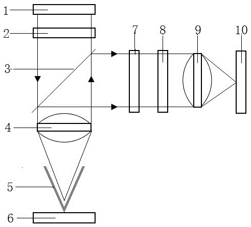 Near-field polarized light scanning probe microscope