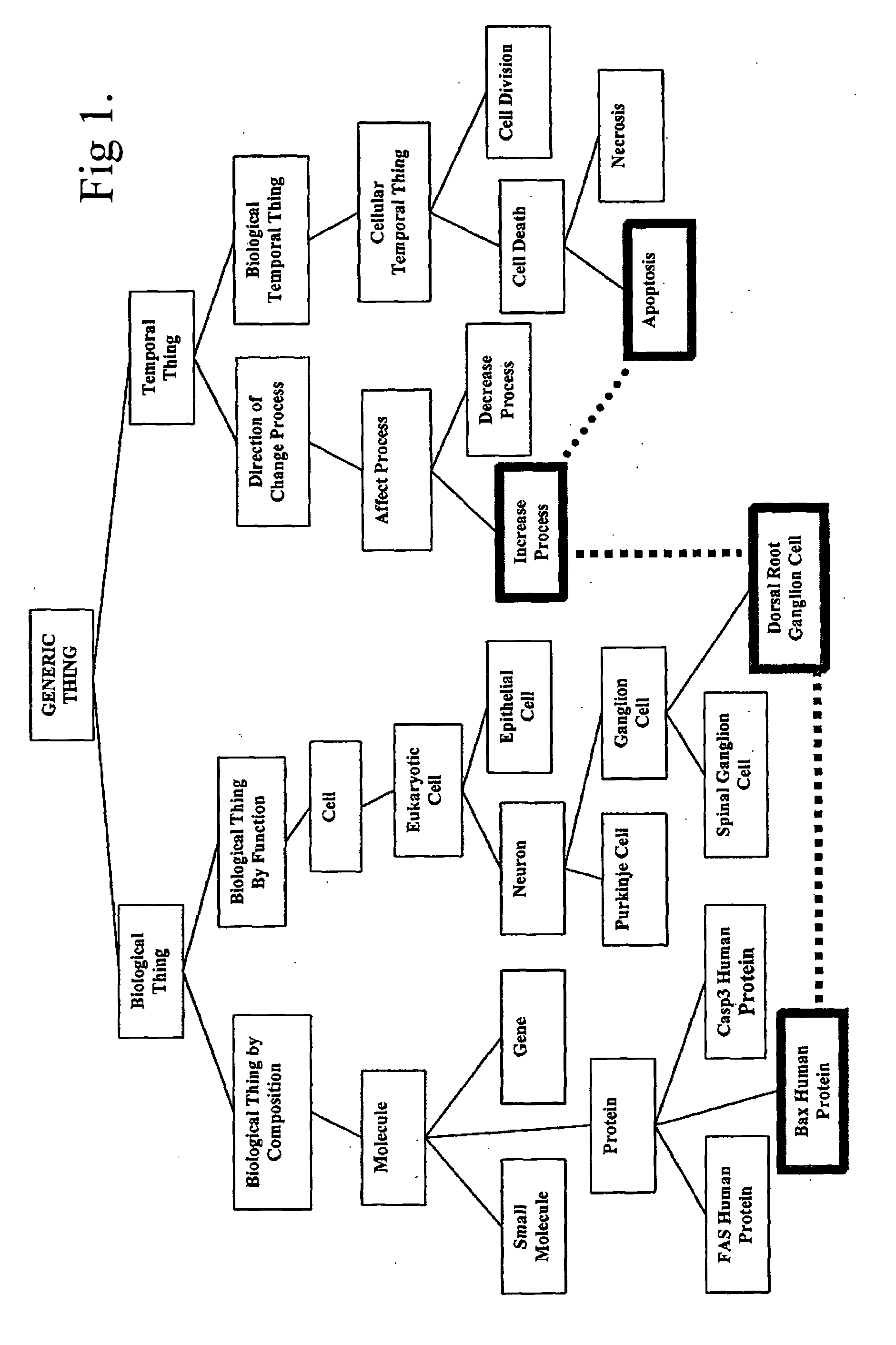 Drug discovery methods