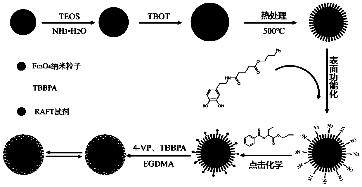 Magnetic surface molecularly imprinted polymer and preparation method and application thereof