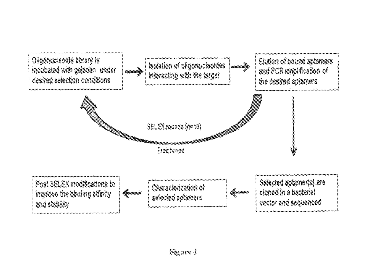 Aptamers for purifying and quantifying gelsolin and its variants