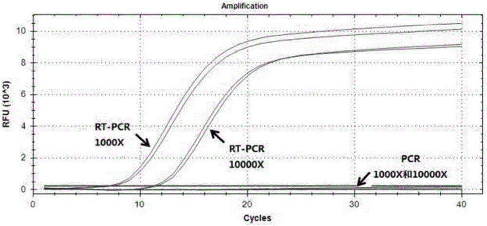 Pseudovirus particle containing human immunodeficiency virus RNA segment and preparation method thereof