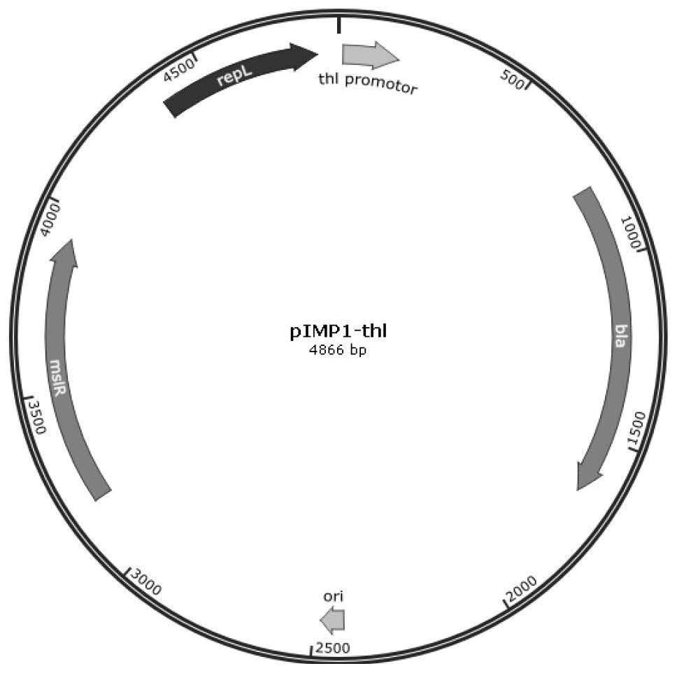 A kind of microbial strain modified with phosphorylation function kinase gene and its application