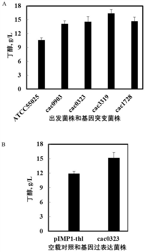 A kind of microbial strain modified with phosphorylation function kinase gene and its application