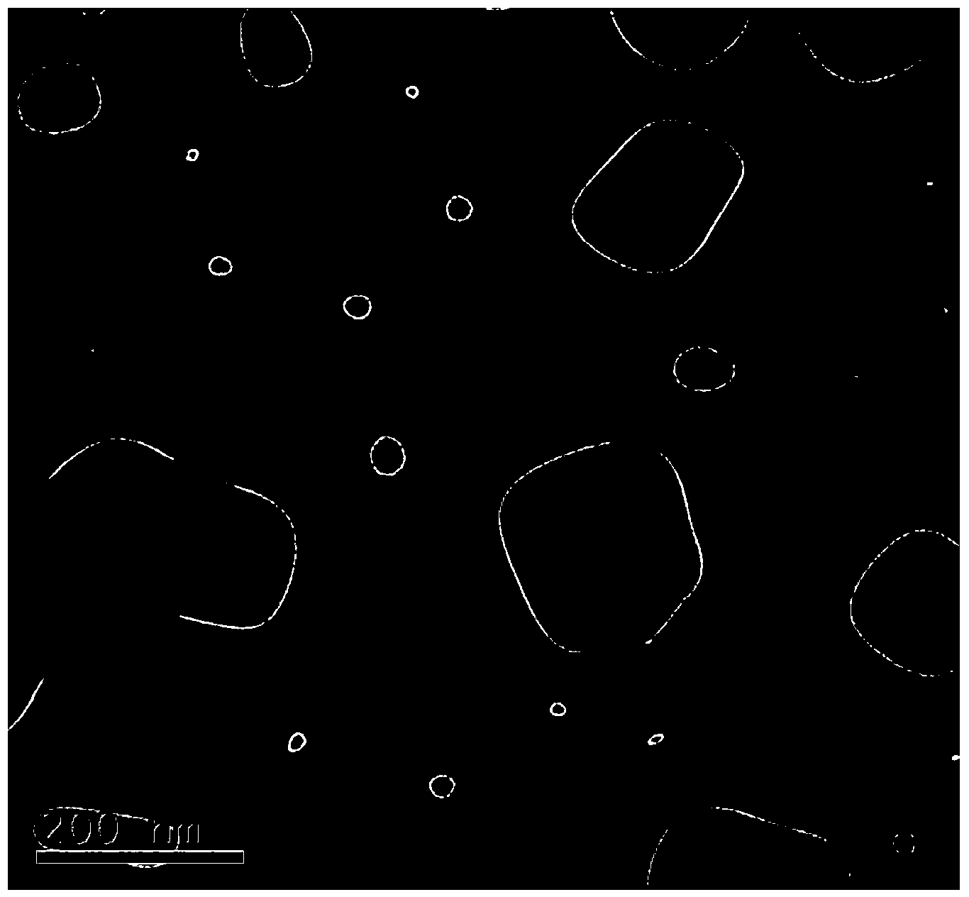 Zerovalent nano-iron coated polymethyl methacrylate and preparation method thereof