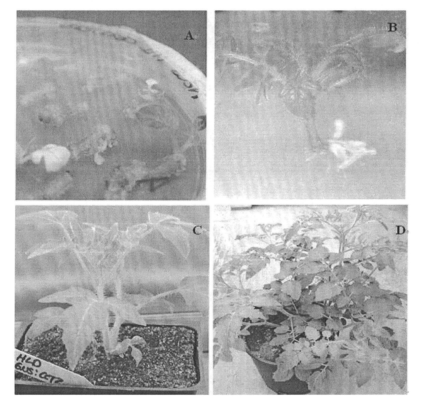 Method for improving carotenoid content of tomato