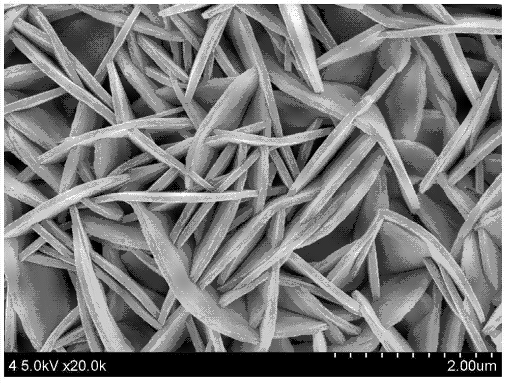 Preparation method of nickel oxide/polyaniline composite electrochromic film