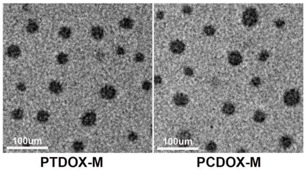 Oxidation response type nano-micelle, and preparation method and application thereof