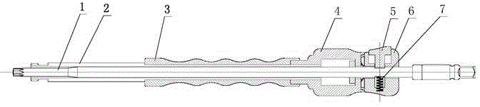 Pedicle screw nailing device