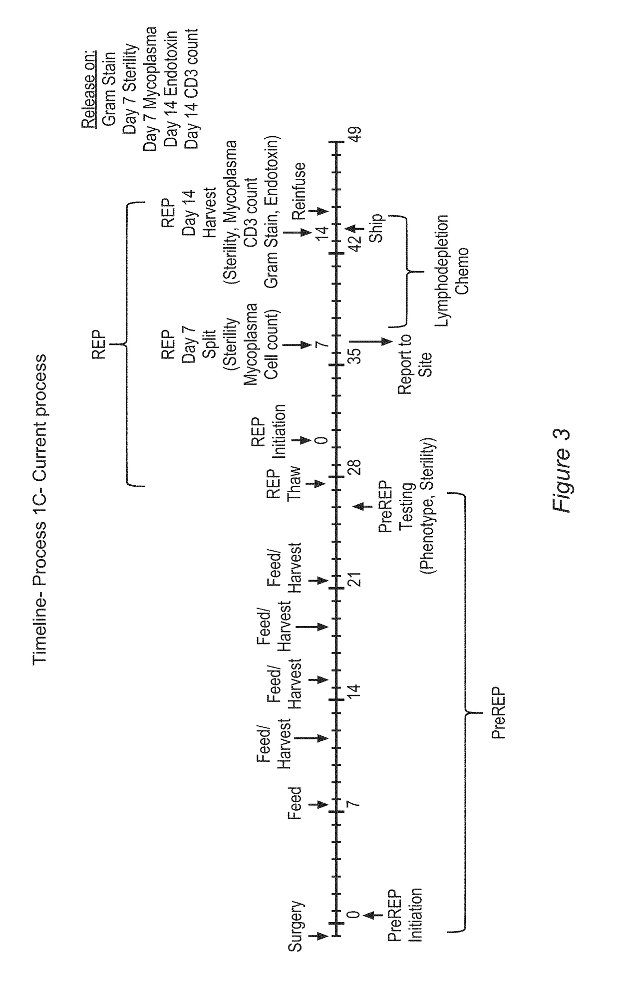 Processes for production of tumor infiltrating lymphocytes and uses of same in immunotherapy