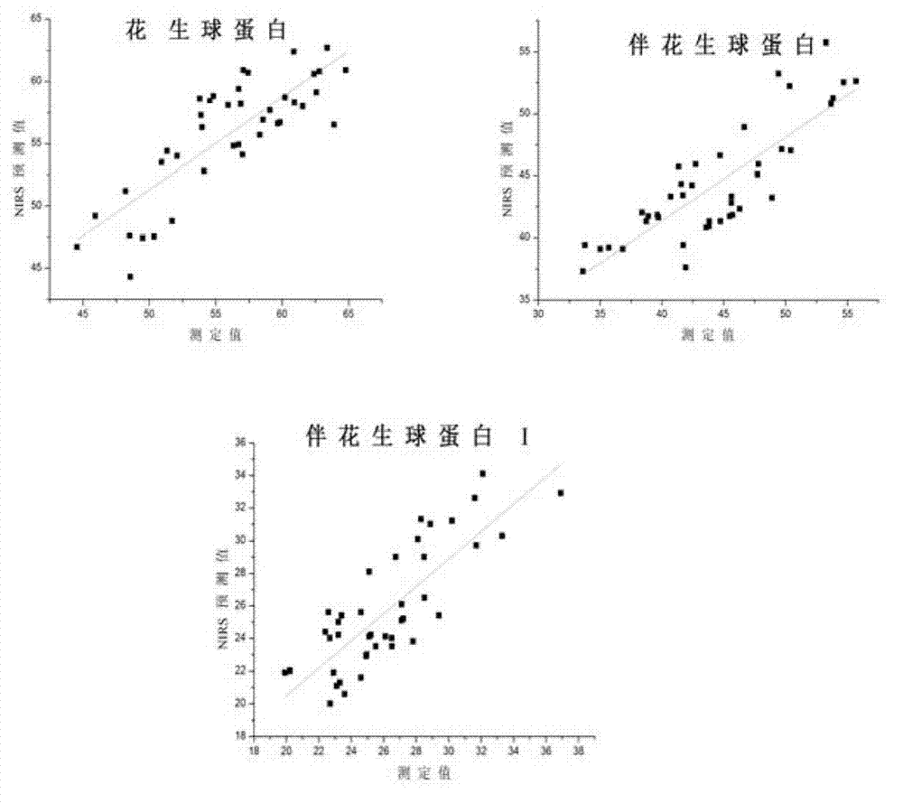 Near infrared detection method for contents of protein components in peanut