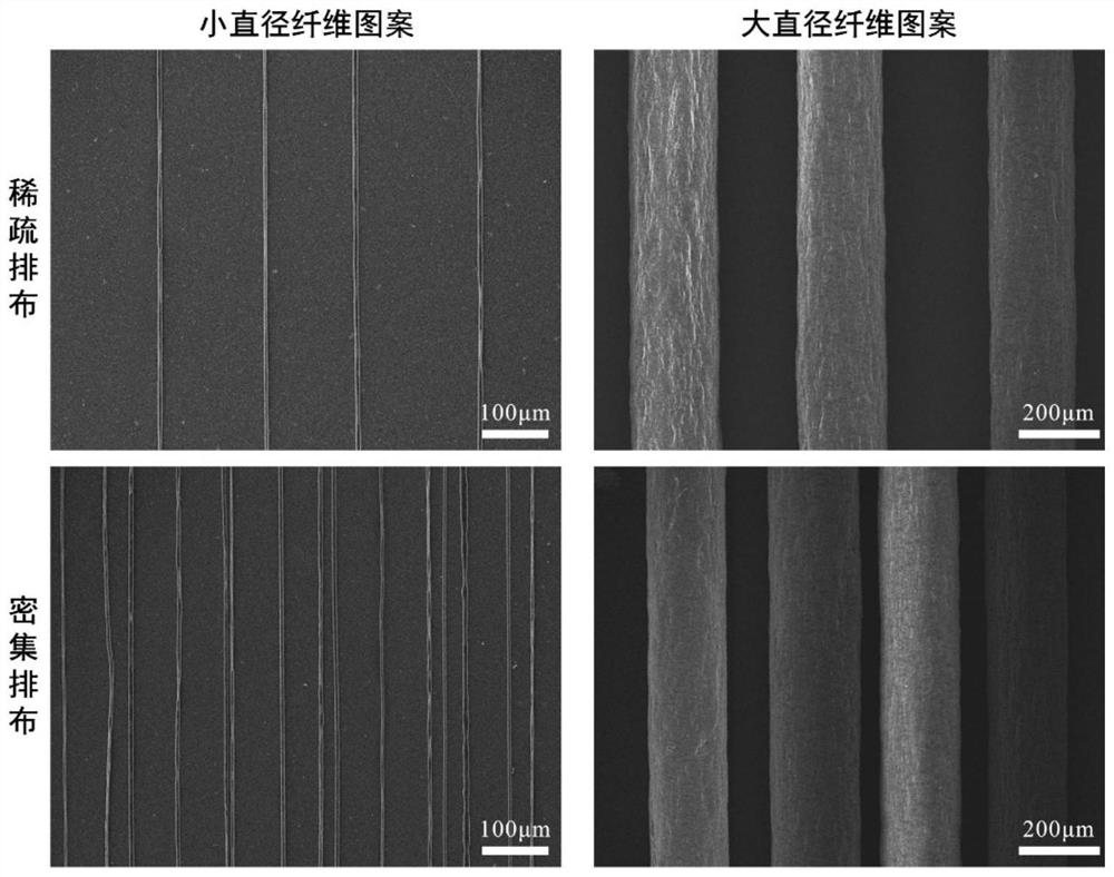 Single-layer parallel fiber pattern with cell adhesion contrast characteristic and preparation method thereof