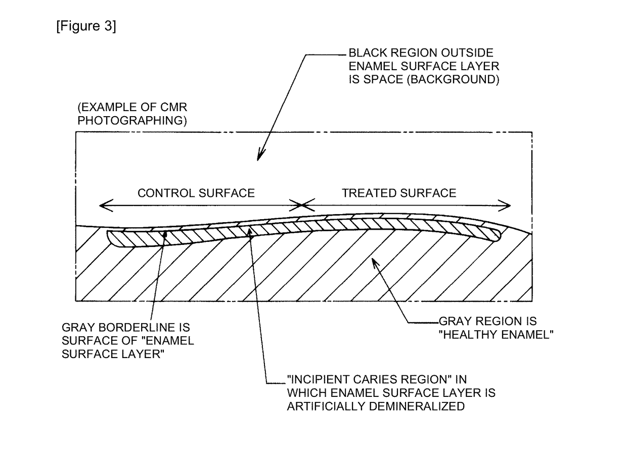 Composition for oral cavity and food product, or beverage