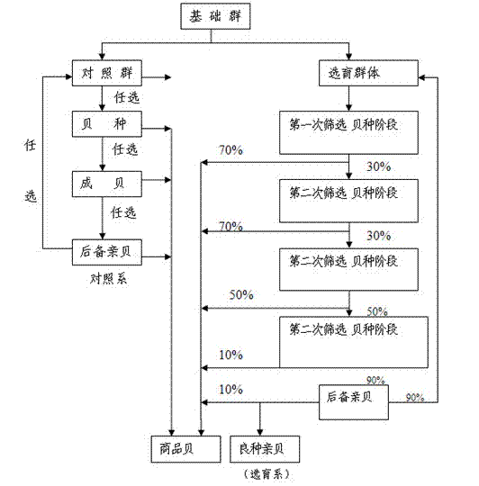 Parent patinopecten yessoensis culturing and hatching method