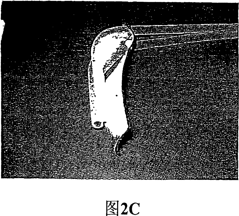 Device and method for photodynamic therapy of the nasopharyngeal cavity