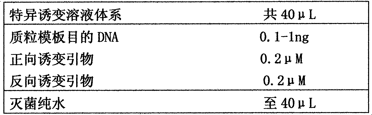 Fast high-flux gene site-directed mutagenesis method