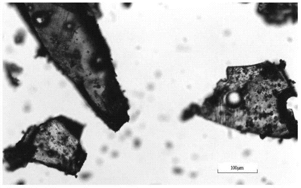 C crystal form of canagliflozin and crystal preparation method of canagliflozin