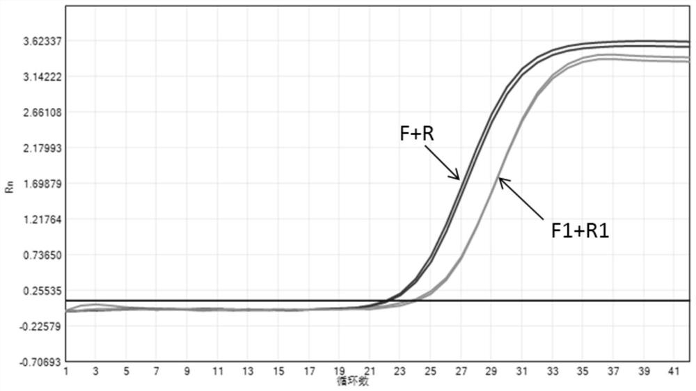 Nucleic acid composition, kit and detection method for detecting infectious pathogens of cat digestive tract