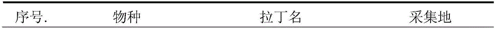 Primer combination for identifying three medicinal snakes and application thereof