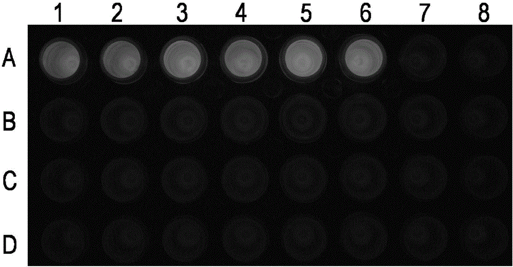 Primer combination for identifying three medicinal snakes and application thereof