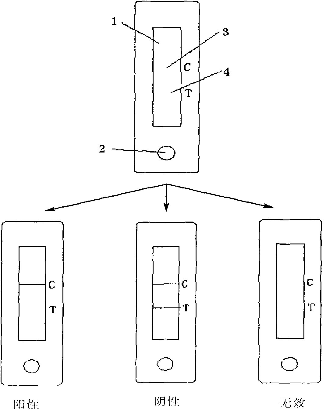 Melamine colloidal gold test card as well as production and application method thereof