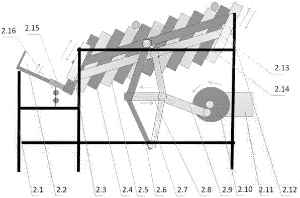 Improved carrot computer vision elaborate classification, feeding and discharging device