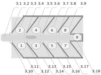 Improved carrot computer vision elaborate classification, feeding and discharging device