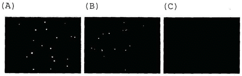 Pharmaceutical composition for diseases caused by pathogenic microorganisms such as aspergillus