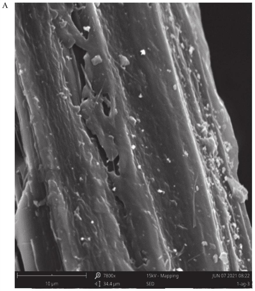 Preparation method and application of straw-based antibacterial activated carbon