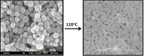 Flexible transparent electric conduction film coating material doping graphene and white graphene