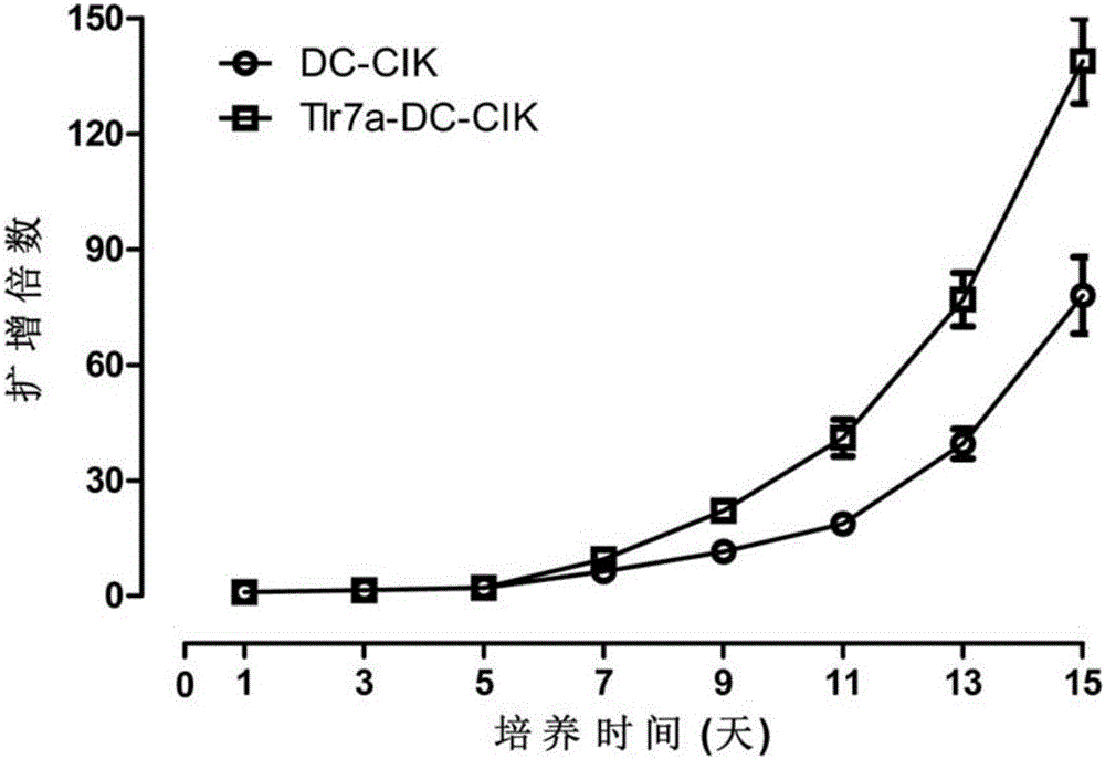 Preparation method of Tlr7a-induced enhanced DC-NK cells