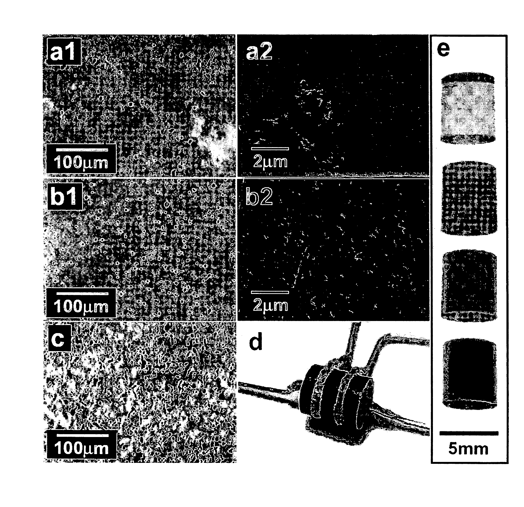 Single wall nanotube composites