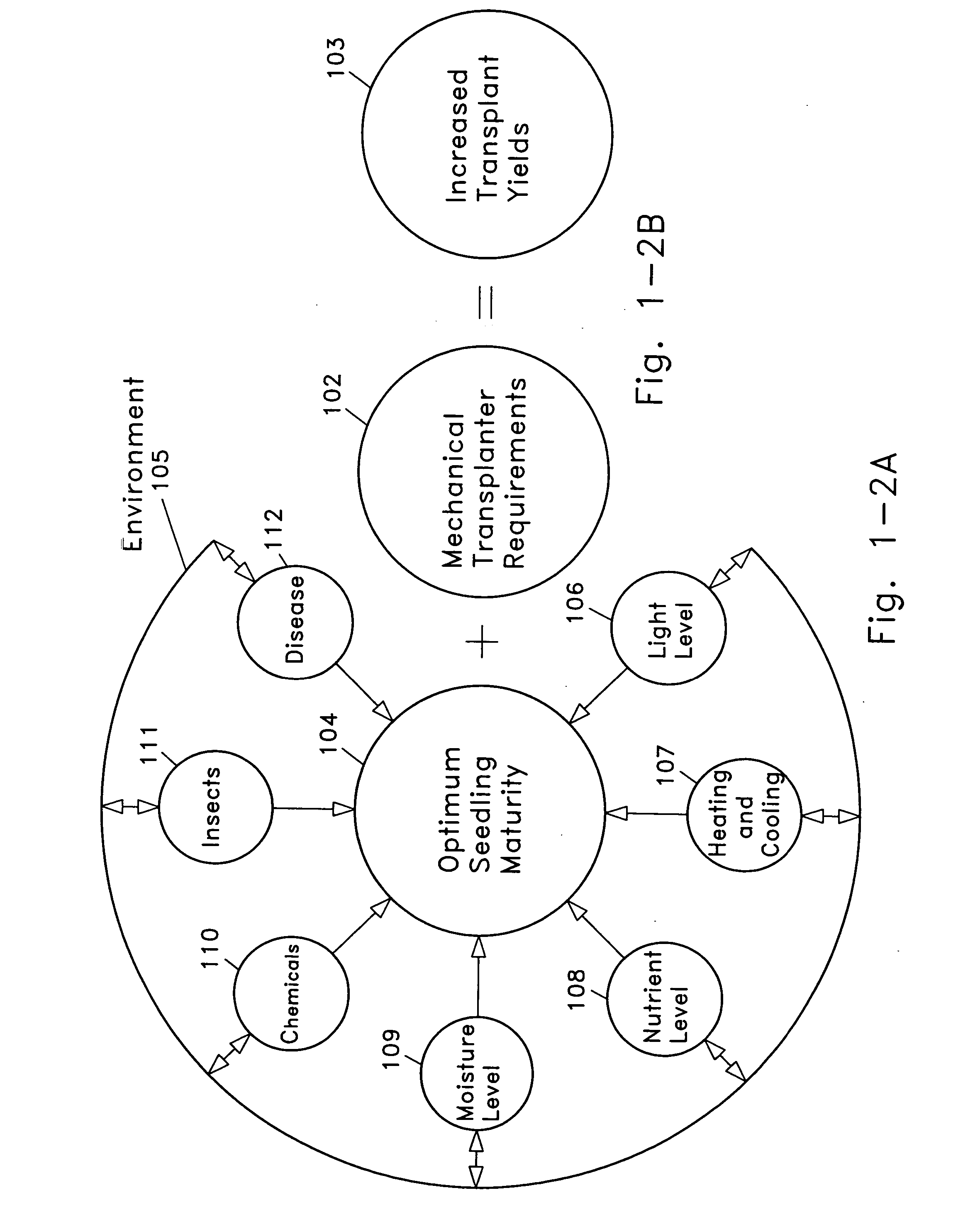 Plant growing system to maximize transplant yield