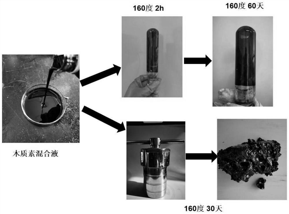 Preparation method and application of modified lignin-based gel water plugging agent