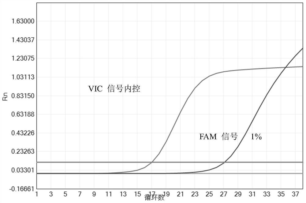 Primer and probe composition, kit and detection method for detecting EGFR (epidermal growth factor receptor) gene mutation through multiple fluorescence pcr