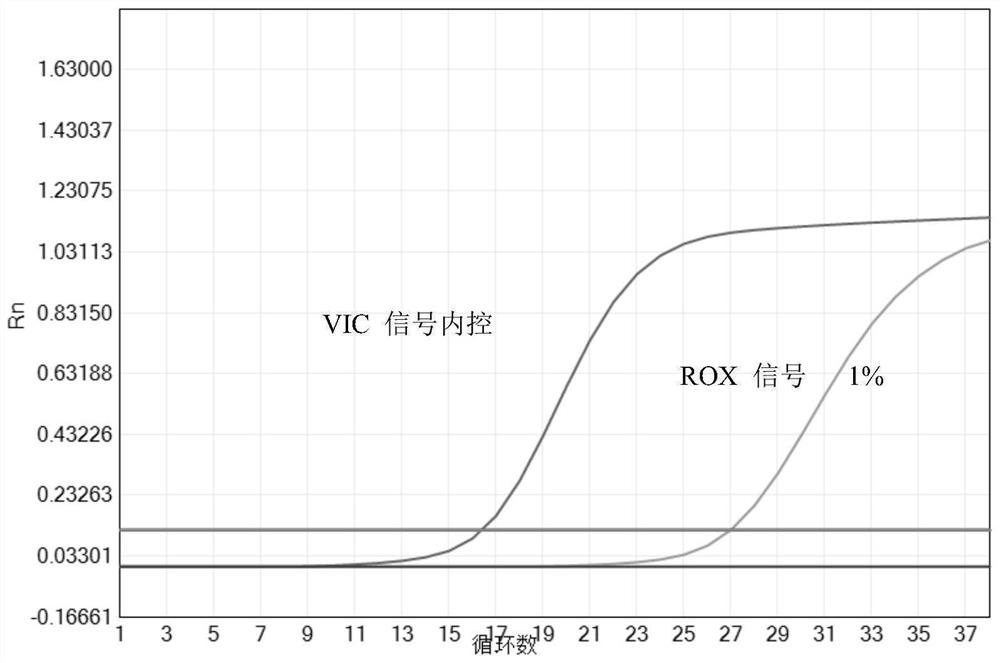 Primer and probe composition, kit and detection method for detecting EGFR (epidermal growth factor receptor) gene mutation through multiple fluorescence pcr