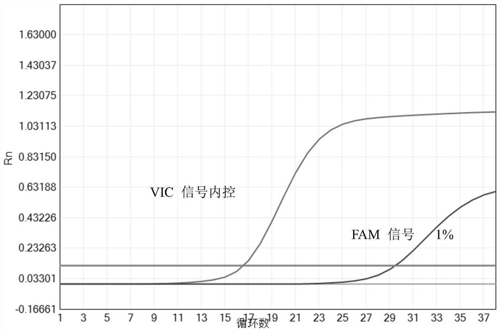 Primer and probe composition, kit and detection method for detecting EGFR (epidermal growth factor receptor) gene mutation through multiple fluorescence pcr