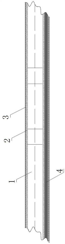 A multifunctional ear rigid endoscope