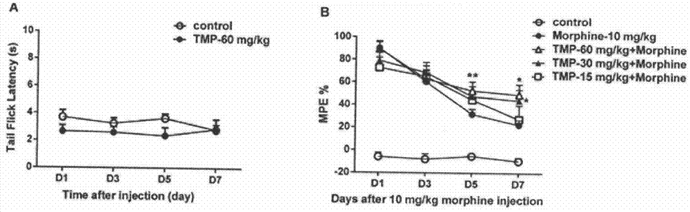 New application of ligustrazine in field of analgesic drugs