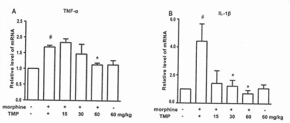 New application of ligustrazine in field of analgesic drugs