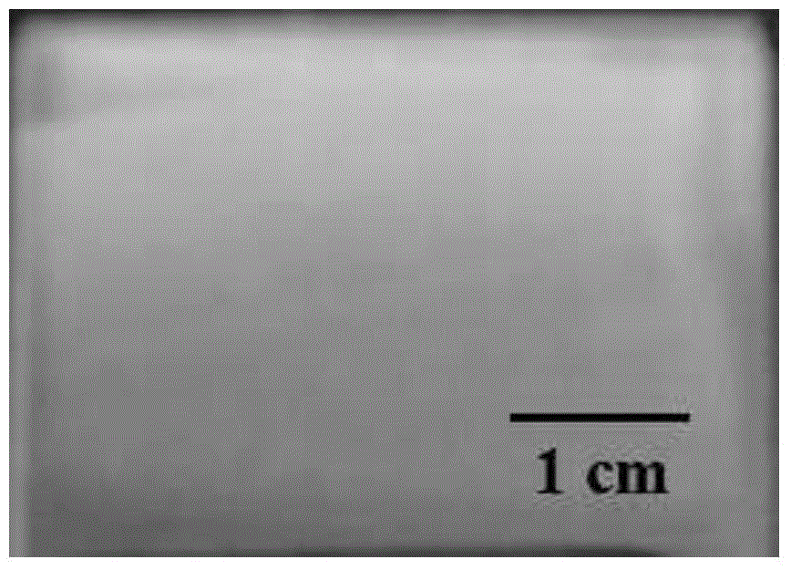 Preparation method of red photonic crystal structure color thin film with photo-catalytic effect